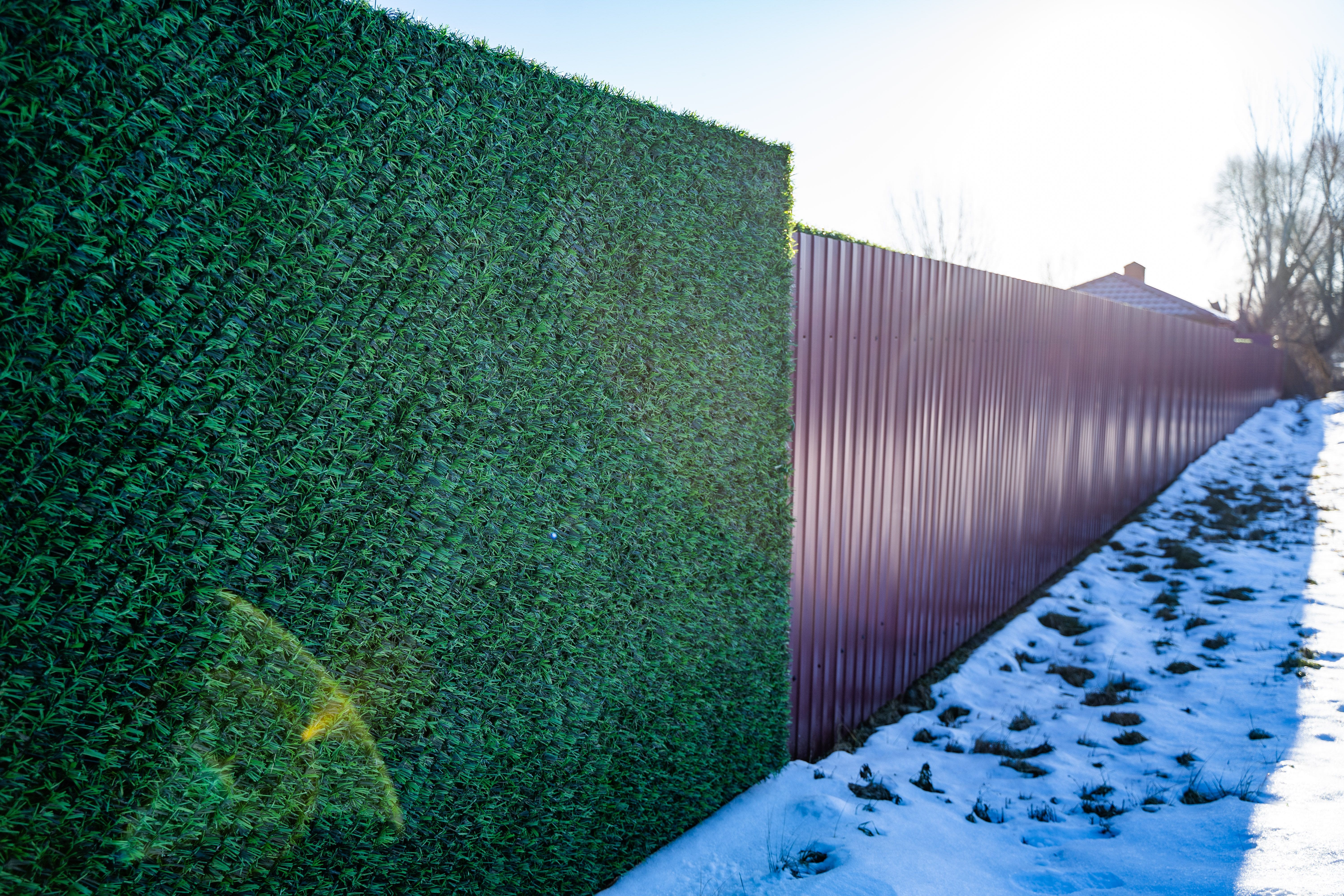 Вечнозеленый забор Grass Fence рулон 2м фото 11 в Вельске