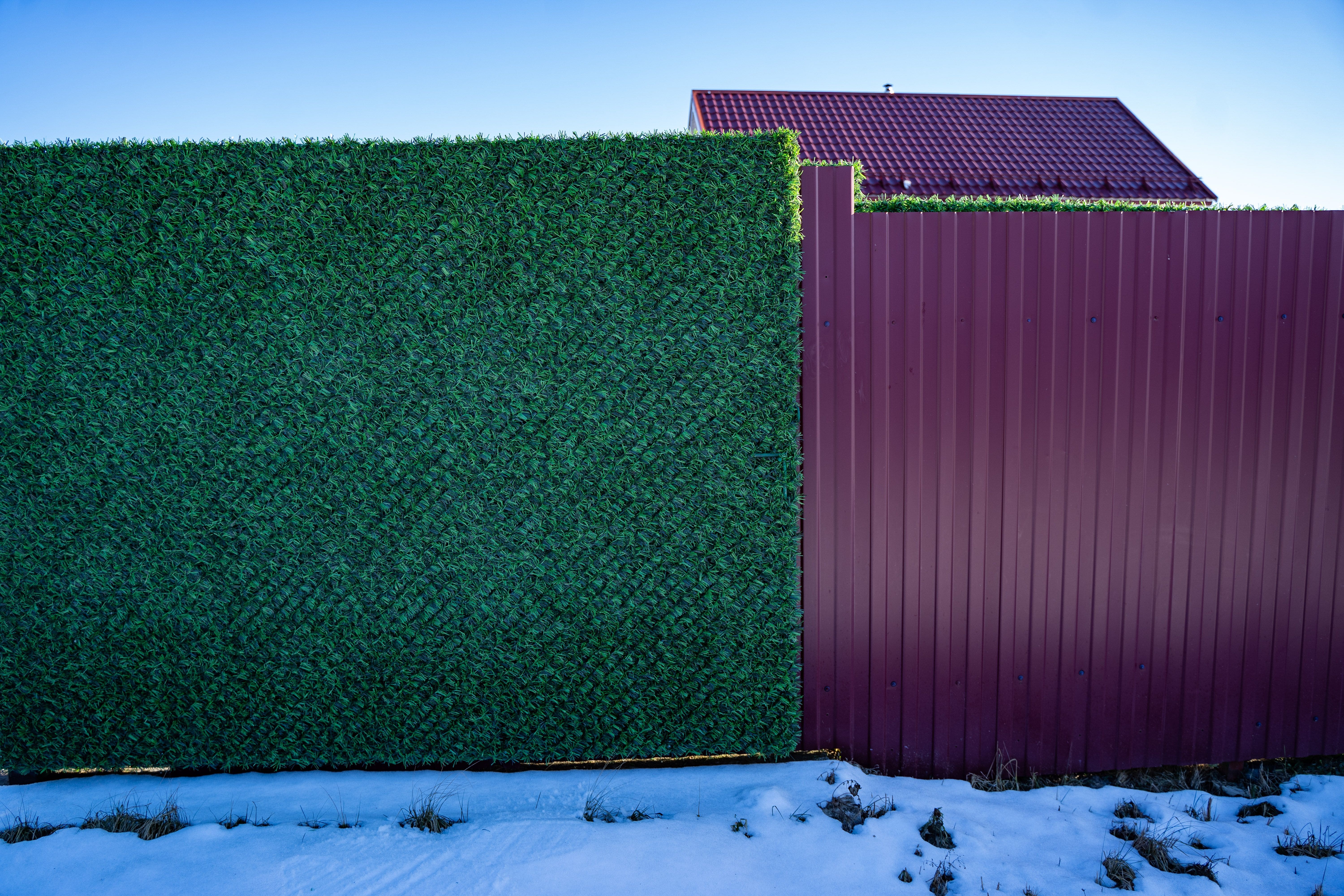 Вечнозеленый забор Grass Fence рулон 2м фото 2 в Вельске