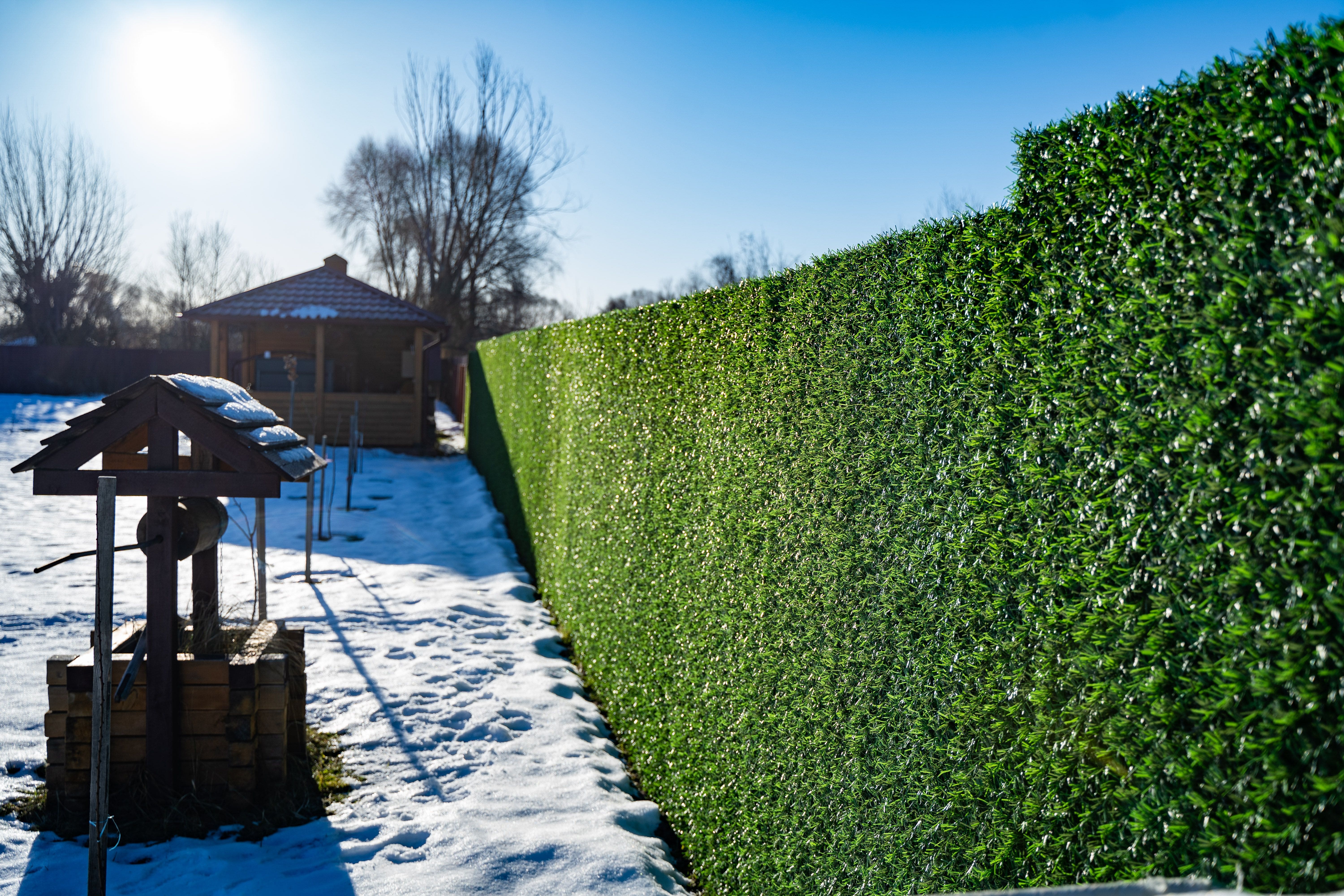 Вечнозеленый забор Grass Fence рулон 2м в Вельске